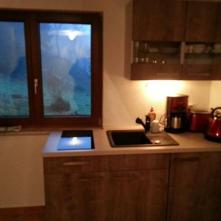 Ferienhaus Moosbachtal Thueringer Wald Bei Oberhof Rotterode Kültér fotó
