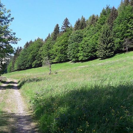 Ferienhaus Moosbachtal Thueringer Wald Bei Oberhof Rotterode Kültér fotó