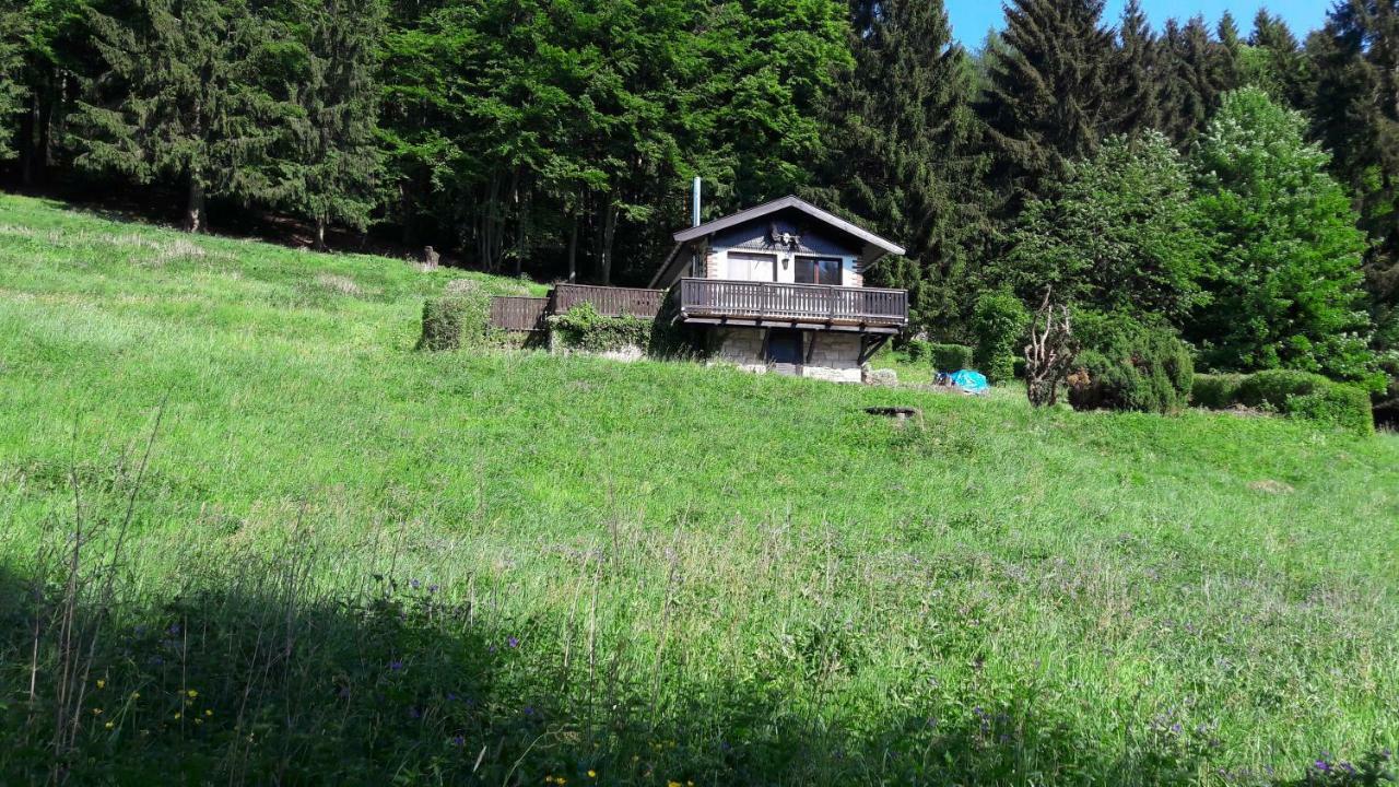Ferienhaus Moosbachtal Thueringer Wald Bei Oberhof Rotterode Kültér fotó