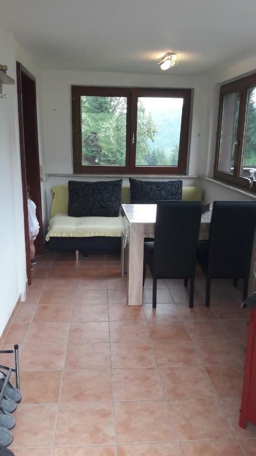 Ferienhaus Moosbachtal Thueringer Wald Bei Oberhof Rotterode Kültér fotó